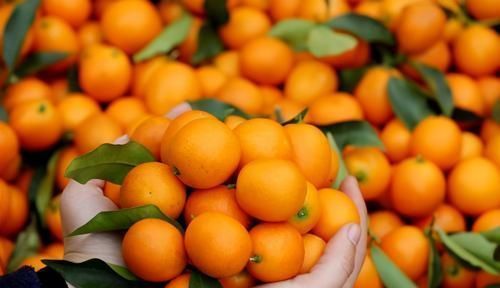 延缓衰老|对身体很好的3种食物,坚持每天吃一些,排毒养颜、延缓衰老