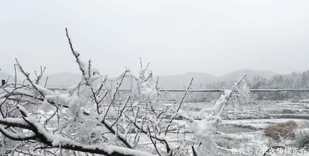 白茫茫|多图直击：2020湘西初雪已至 雪树玉砌 琉璃世界