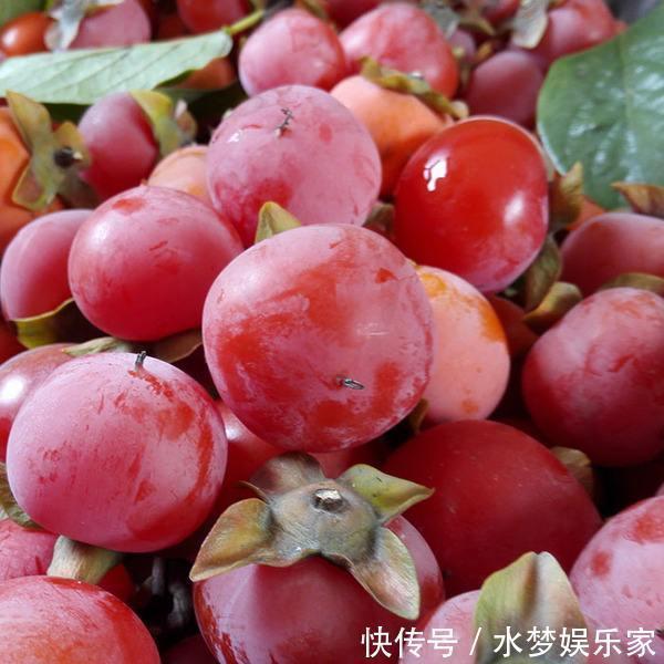 老太|女性最好的零食,不想老太快要多吃,補血活血,保持健康好氣色