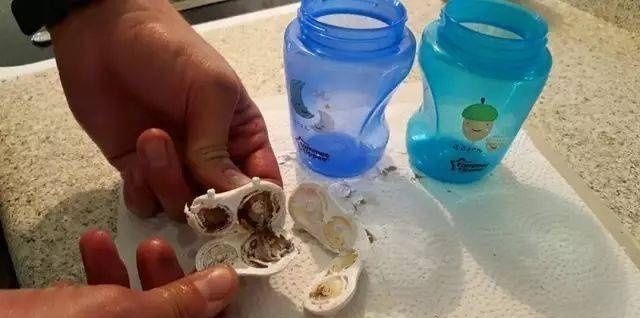 宝宝|好可怕!宝宝天天吃的牙胶和奶嘴,竟然比抹布还脏!