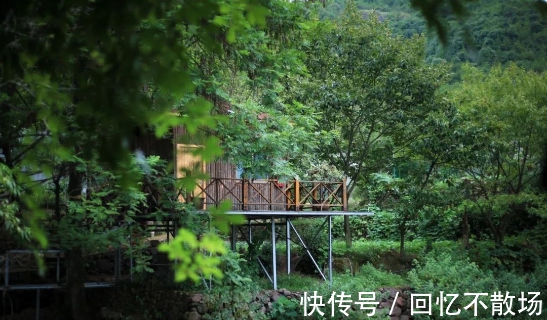 春夜!10首意境优美的小诗,美了眼,醉了心,惊艳了时光