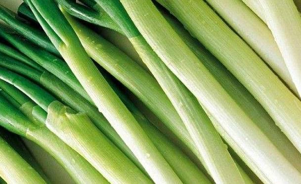 食疗本草|大葱的营养价值这么高，你还会嫌弃它吗？