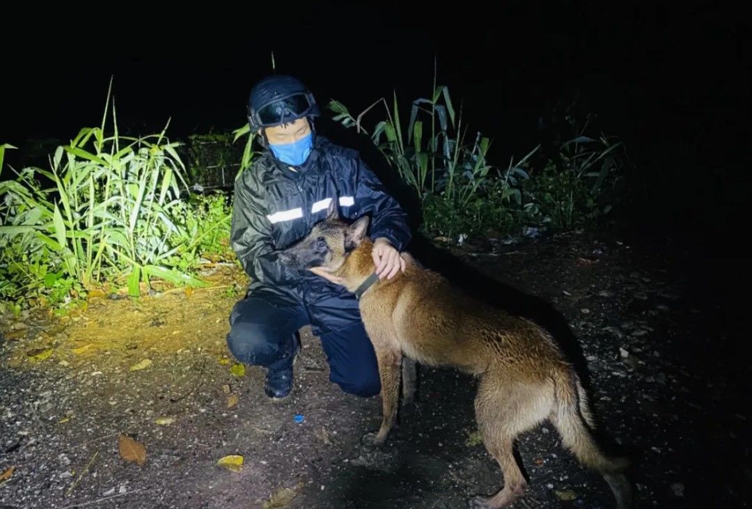 王信明|破防！眼镜蛇突袭，云南一警犬挡在民警身前不幸牺牲……