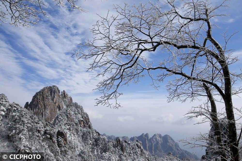 雪景|安徽黄山：小雪节气迎入冬初雪