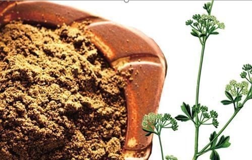 氨基酸|老人过了50岁,心率越慢越好?不瞒你说,心率在这个范围内才长寿