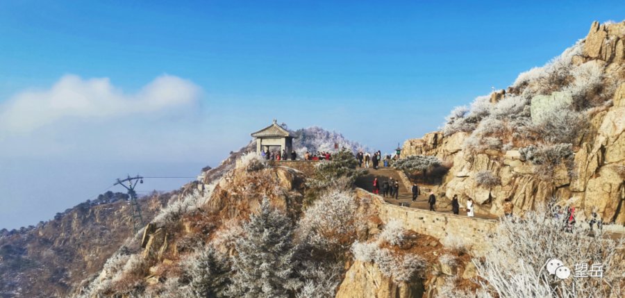 泰山|壹图集丨泰山之上，雕栏玉砌！大片雾凇蔓延岱顶宛如童话世界