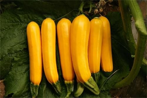 肌肤|对身体最好的三种食物，营养丰富，滋润肌肤，越吃越年轻