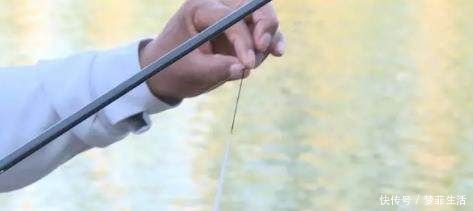 鱼讯|钓鱼大师讲解,浮钓,如何选漂、调漂