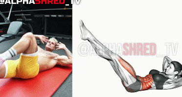 动作|7个最好的腹肌动作推荐，全方位无死角虐腹！