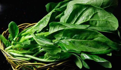 塞药|痔疮最怕这几样食物，每天吃两口，消炎除痔，比“塞药”管用