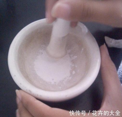 蟹爪兰|用2种水浇花,无臭味、肥效好,淘米水、黄豆水都不用了