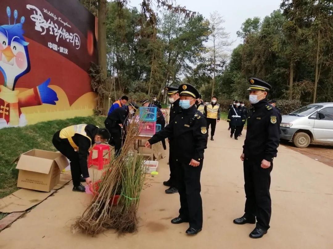 打造良好的景区环境 让游客游的开心