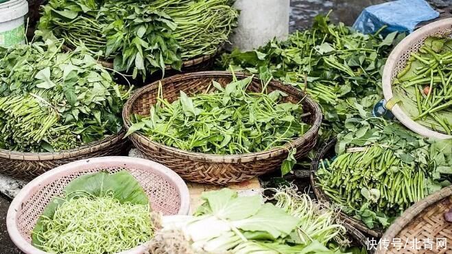 降脂减肥|这种“养生菜”，最近抓紧吃！祛湿、降脂又润肠