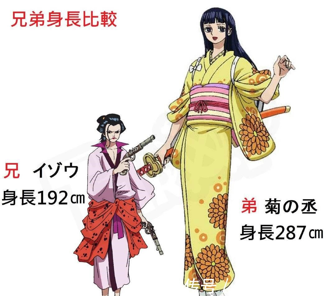 尾田|《海贼王》漫画出现低级失误,“细节狂魔”尾田也有翻车的时候