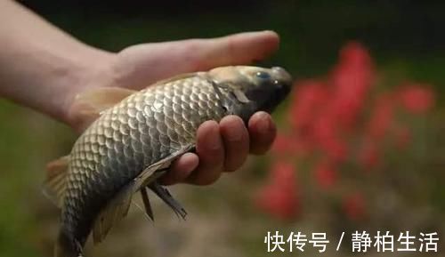 食用|在家里做鱼时，发现鱼有柴油味是为什么？还能不能继续食用了？