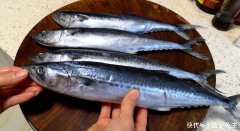 海水鱼|过节吃鱼,首选这3种鱼,现在没有办法人工养殖,吃着更放心