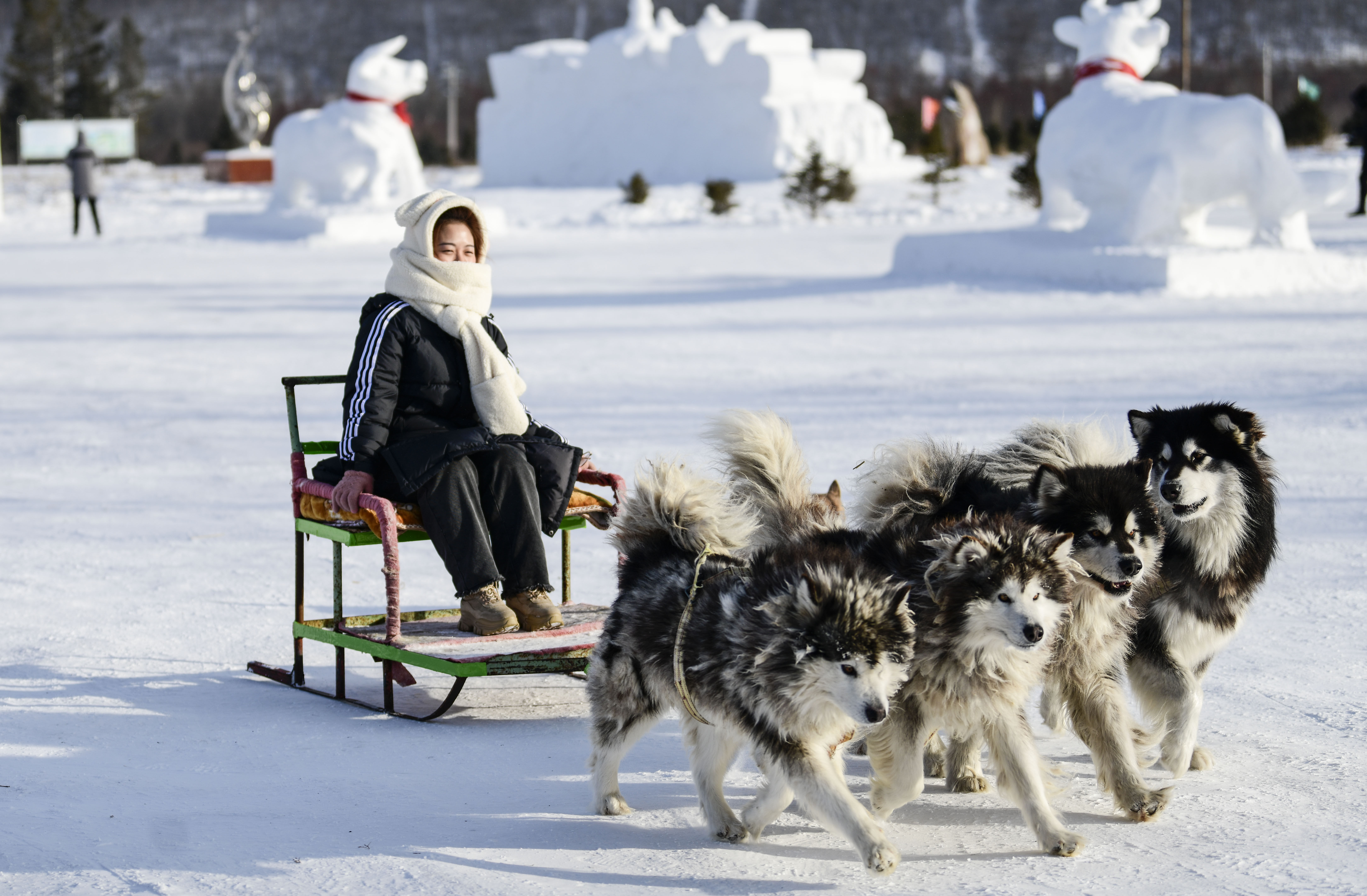 我国发布冰雪旅游发展行动计划助力“三亿人上冰雪”