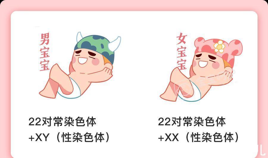 遗传病|这几类夫妻,生二胎要谨慎