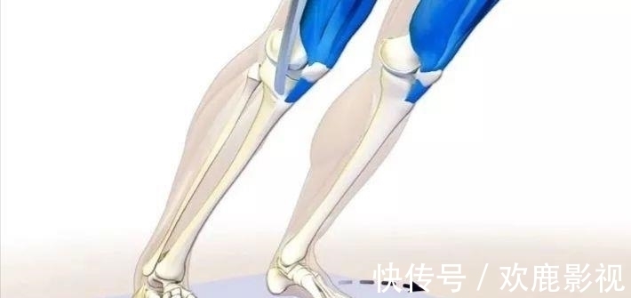 腘绳肌|要练好瑜伽下犬式,这些解剖要点你要知道!