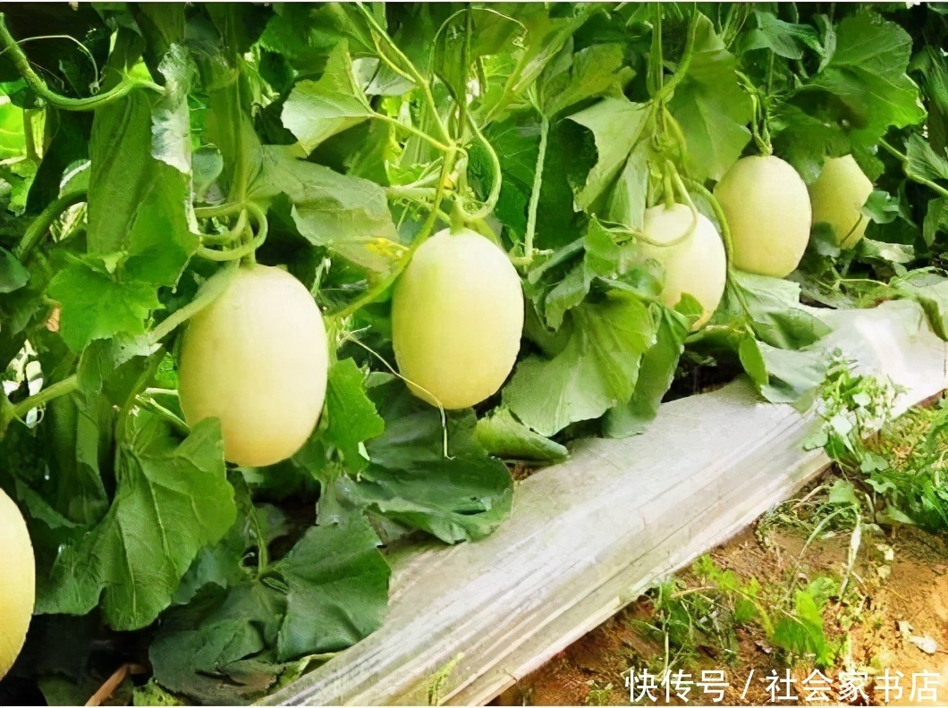  健康|爱美女性多吃3种食物，排毒养颜、改善体质，早吃早受益