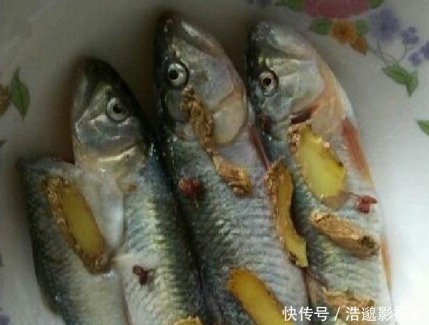 钓鱼界|谁说马口鱼长不大,这样大的马口鱼你见过没,如今很难钓到了