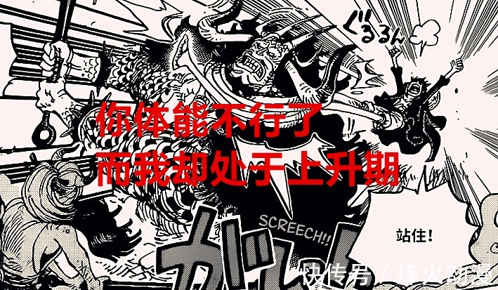 天龙人|海贼王1028话：烬曾经是天龙人的奴隶，凯多实力削弱，路飞在增强