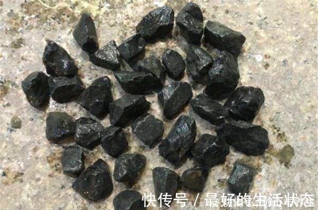 花卉|花盆土壤“硬如砖”，去公园捡“2宝贝”埋盆里，土壤松软白根壮！