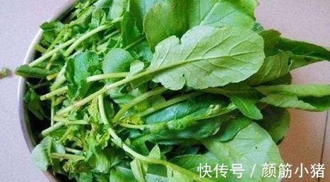 营养|中年人想要身体好，三种食物换着吃，补充营养，提高免疫力！