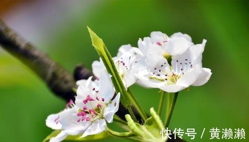 黄庭坚@杨万里的一首七律,开篇不吝赞美之词,结尾更是富有理趣