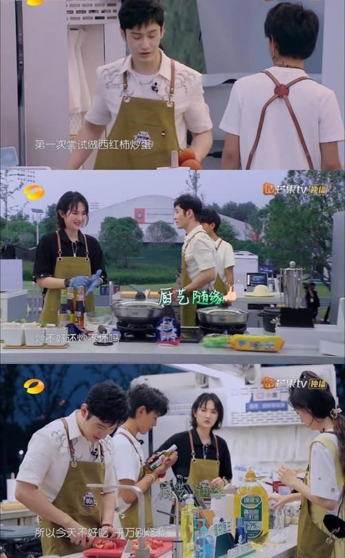 常驻嘉宾|中餐厅5:内娱做综艺,真是又轻松又赚钱