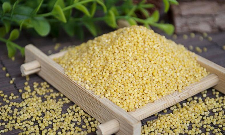 滋补|人到中年想长寿，常吃以下食物，清除体内垃圾，美容养颜，好处多