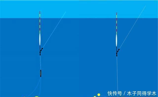 高目|野钓调漂不用纠结,可以只用这一种方法,适合各种钓场和鱼情