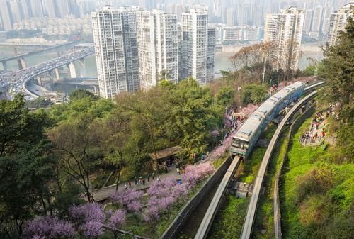 团圆|青山绕城去，繁花入眼来，重庆这条网红地铁带你驶向春天