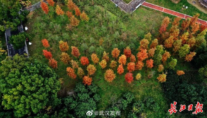  大雪|大雪节气，“秋色”缤纷