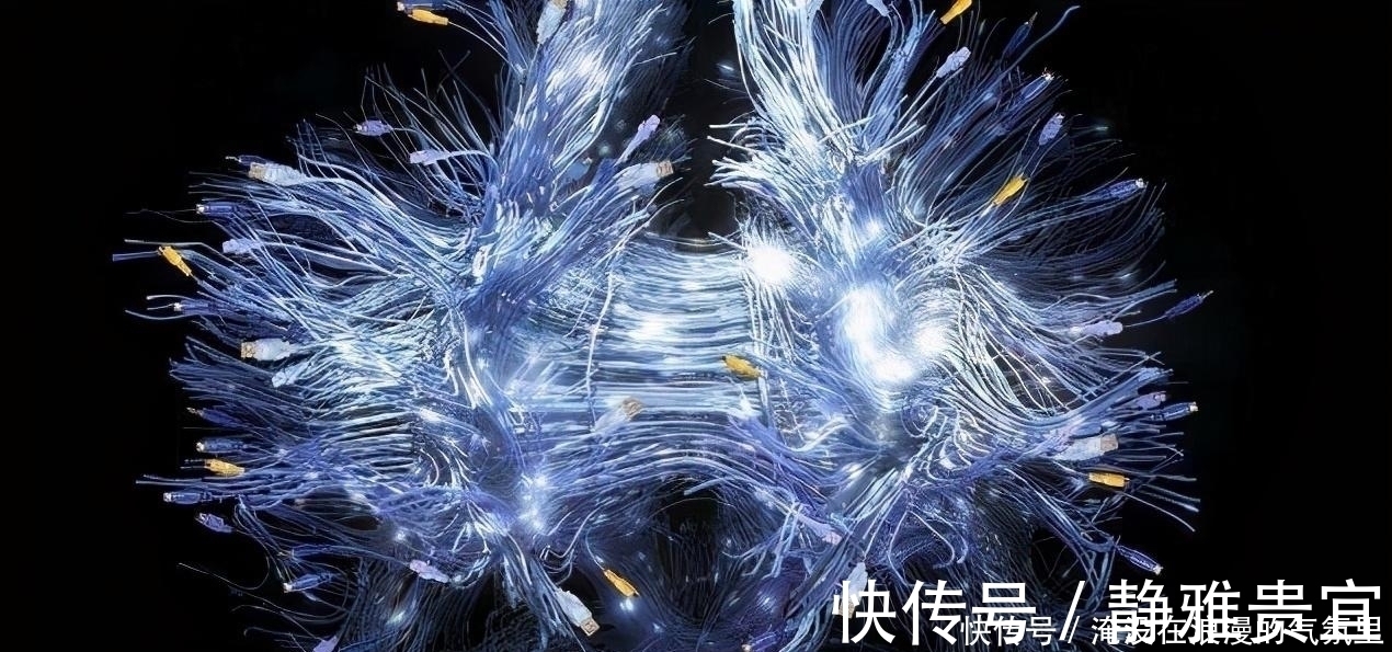 人机交互|“全真通信”会不会是运营商的又一春,移动、联通、电信准备好吗