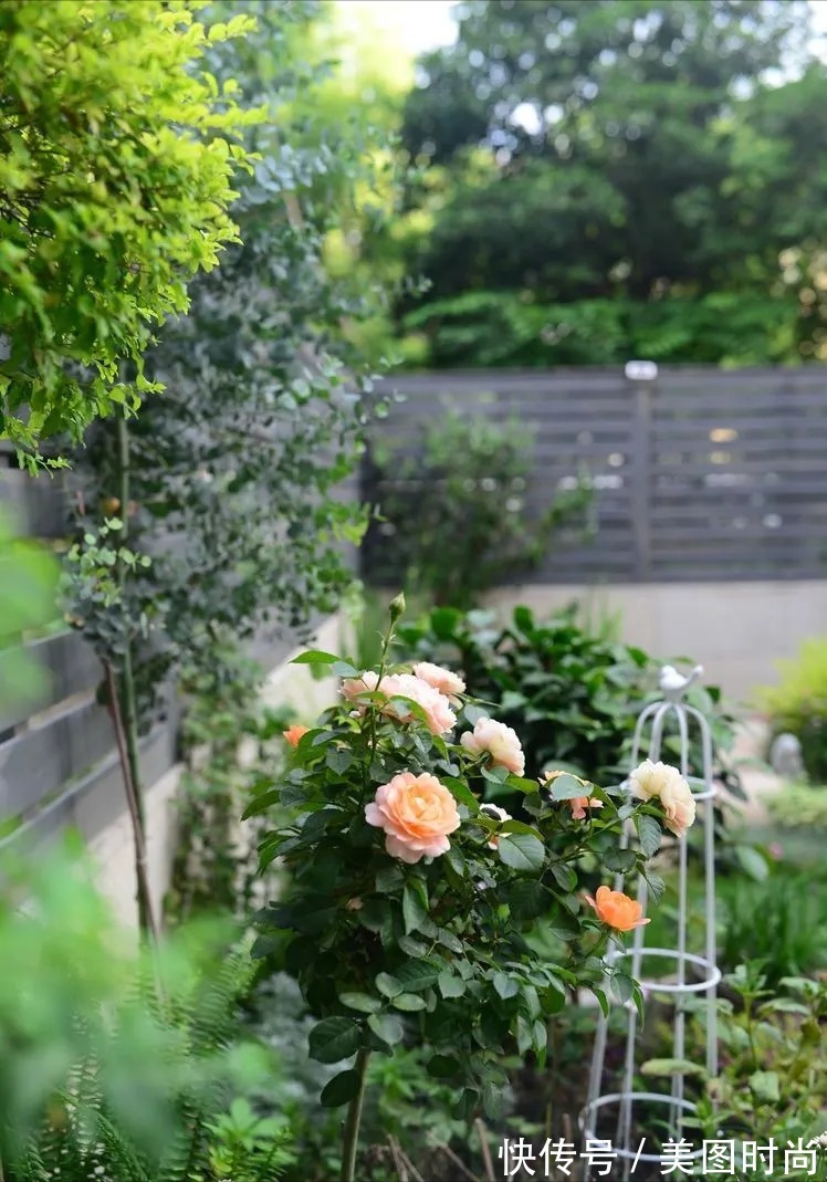 防腐木|为了这个45㎡小院子，坚持买了一楼，打造成花园后比别墅还好看
