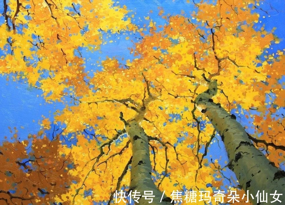 美国肖像协会!白桦林之美