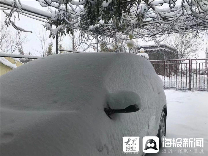 落叶|落叶满地到白雪皑皑 一日看遍济南的秋与冬