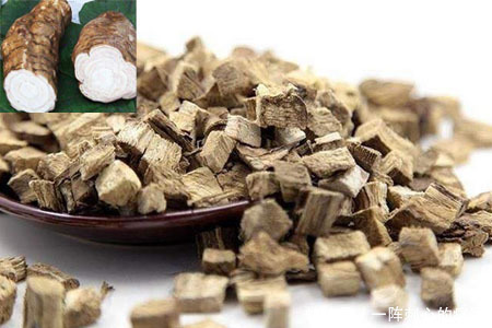 菊花茶|4种茶,是大自然良好的“降压方”,高血压患者可坚持喝点