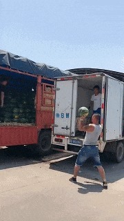 |搞笑GIF:怎么丢了一只,我站在你身上看一下啊