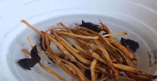 年夜饭猪肉好吃做法，淋2个鸡蛋，老做法教给你，吃一次就忘不了