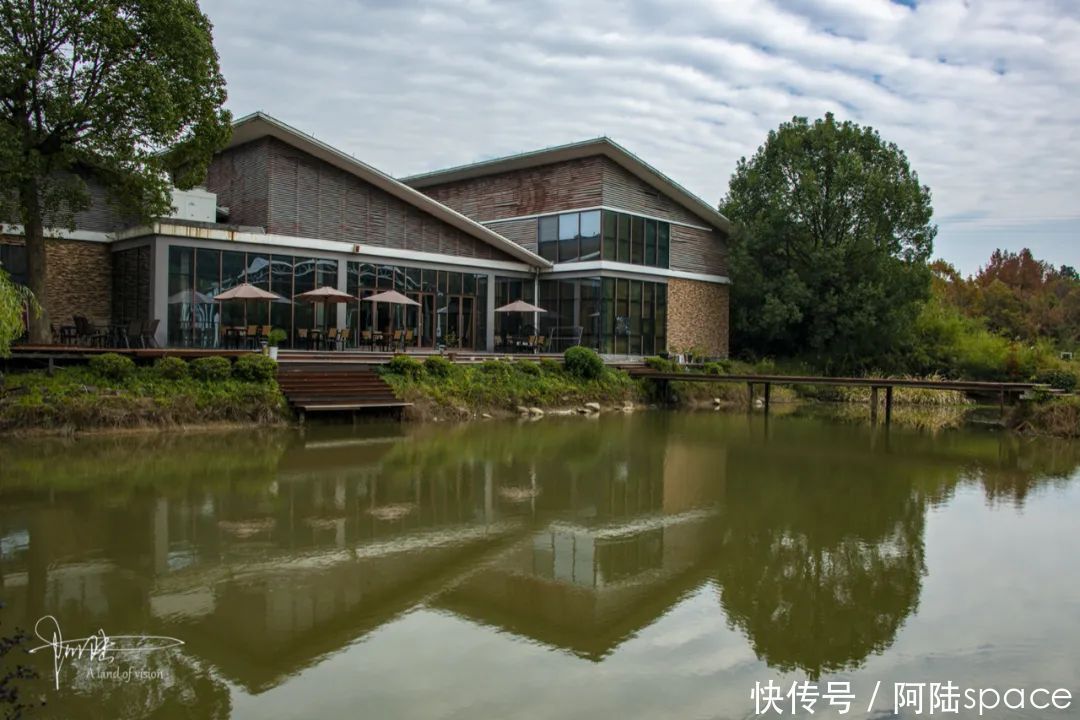  骑马|想体验骑马不一定要去内蒙古，在嘉兴南北湖就可以圆这个梦