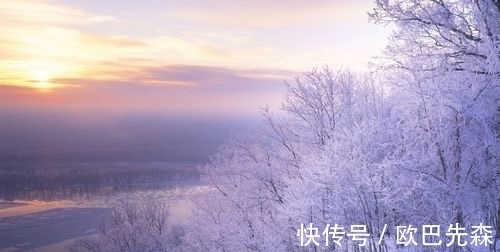 扈江离&君子之德,性赛冬雪