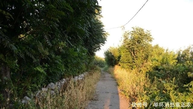 书魂·张柔:轻财重书,《金史》得用(上)韦力撰