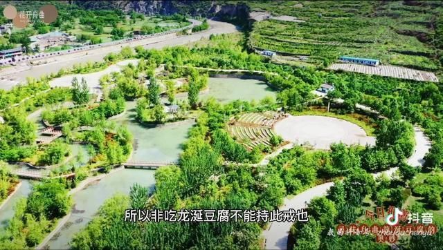 舟曲美食篇——龙涎硝水豆腐|美丽甘肃 | 浸豆