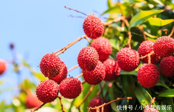 山水|宋朝文人:仕途多舛,人生不如意九点九?那就寄情山水、纵酒斗茶