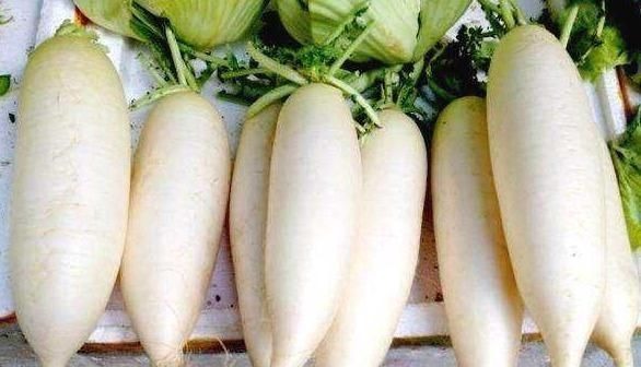 补肾|白萝卜补肾偏方一治一个准,强腰补肾益健康,为健康值得了解