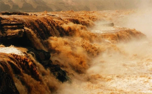 黄河每天将大量淡水鱼冲入大海,它们怎样生活?最终会去向哪里?