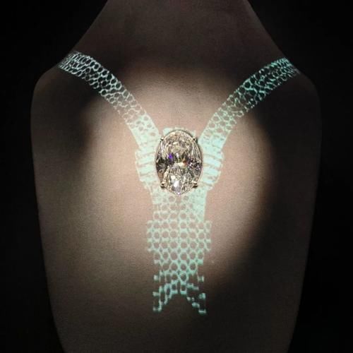 Tiffany 家最大的钻石，好闪！