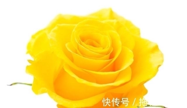 白羊座|未来八天,月老送姻缘,桃花朵朵开的四大星座,注定顺利找到真爱